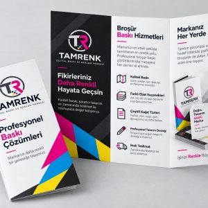 Tam Renk broşür baskı
