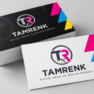 Tam Renk kartvizit baskı